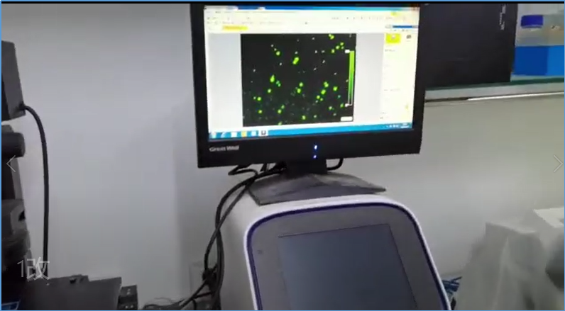 随着我国合成生物学快速发展和突破，目前，合成生物学跃动新发展，市场空间广阔。合成生物学发展之下，国内化工产业有望凭合成生物学技术摆脱进口依赖状况。同时，绿色生物制造是我国建设科技强国的重点发展产业之一，具有极大的减排潜力并有望破解绿色可持续发展的难题